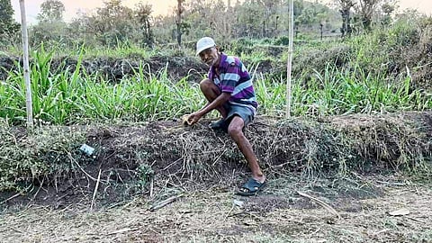 Trouble Of Gaur In Chikotra Valley Kolhapur Marathi News
