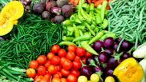 उपलब्धता अन् इच्छा यावर ठरतो आहाराचा दर्जा 