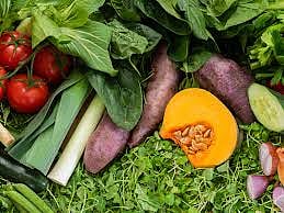 vegetables