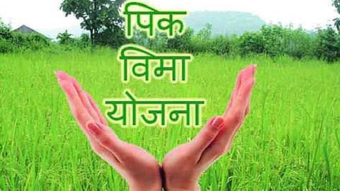 comparatively horticulturalist increased for this year but the coverage of insurance decreased in kokan