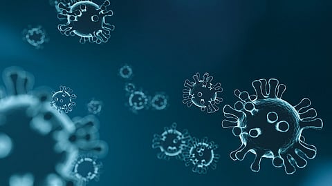 virus-corona.jpg