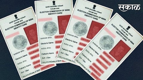 voter id