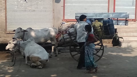 संग्रहित छायाचित्र.