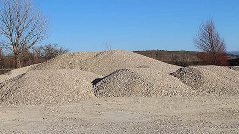walu.jpg