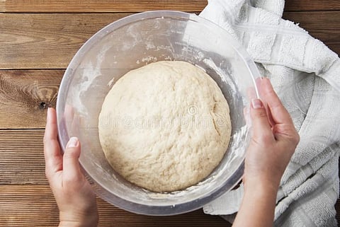do not put ball of wheat flour in freeze at night must read 