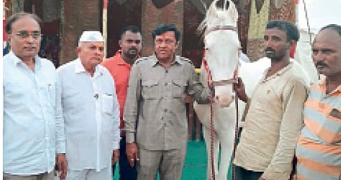 sarangkheda chetak festival
