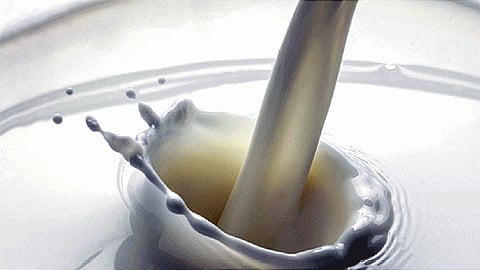12Milk_0