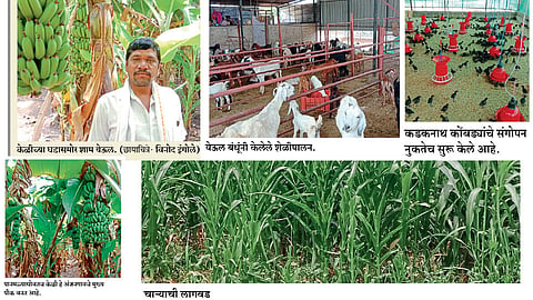 एकात्‍मिक बहुवीध शेतीतून  आर्थिक सक्षमतेकडे वाटचाल 