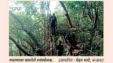 सह्याद्री व्याघ्र प्रकल्पात पुनवेची थरारक रात्र