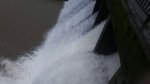 पाच दिवसांत चार धरणांतील पाणीसाठा साडेपाच टीएमसीने वाढला