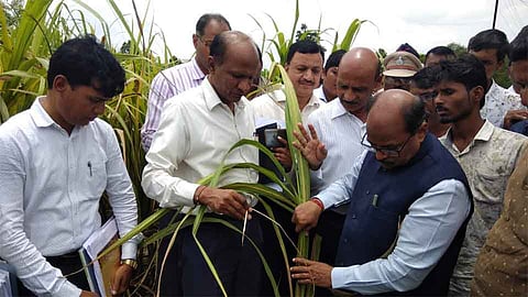 महापूराने कोल्हापूर विभागात शेतीचे पावणेतीन हजार कोटीचे नुकसान 