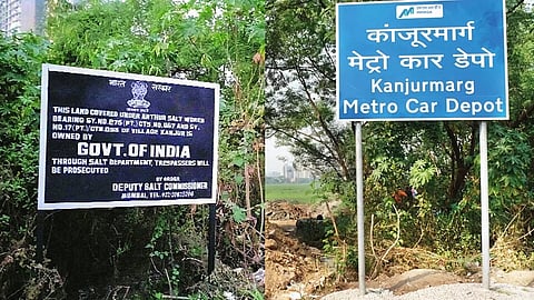 कांजूरमार्ग मेट्रो कारशेडबाबत राज्य सरकारच्या अडचणीत वाढ; जिल्हाधिकाऱ्यांच्या आदेशावर न्यायालयाचे ताशेरे