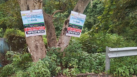 वृक्ष संवर्धनाची ऐसी की तैसी! खोडांना लोखंडी चूका ठोकून जाहिरातबाजी