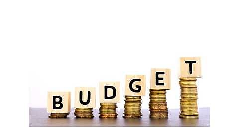how many crores for per section Budget 2020