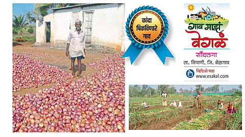 #Specialtyofvillage  कांद्यामुळे सौंदलग्याला गवसली विकासाची वाट 