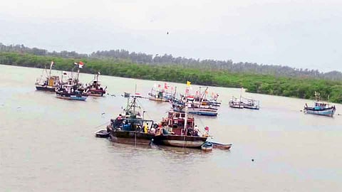आश्‍वासक सुरवातीनंतर रत्नागिरीत पुन्हा मच्छीचा तुटवडा 