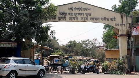 संग्रहित