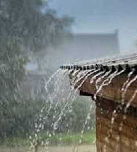 rain