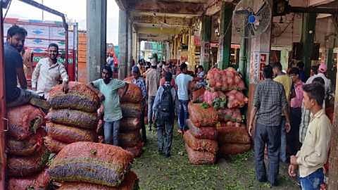 Workers in Bajar Samiti are back to work in Amravati 