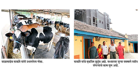 दुग्ध व्यवसायातून आर्थिक  सक्षम झालेले साकोरे कुटुंब