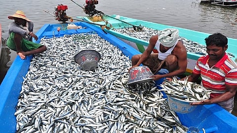 fishing