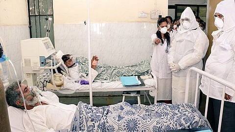 swine flu
