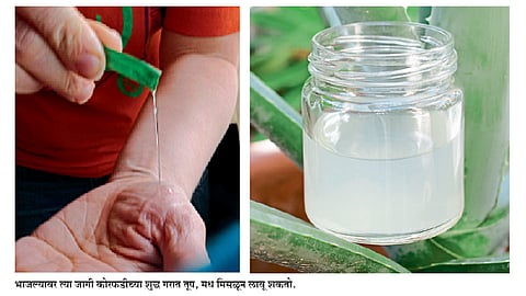 तातडीचा उपचार