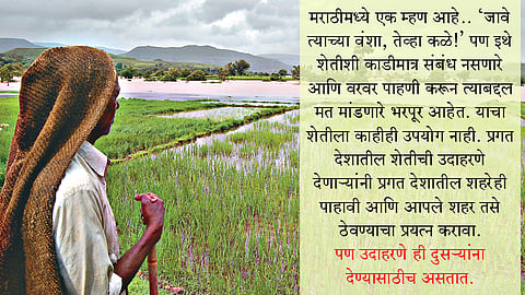 Farmers