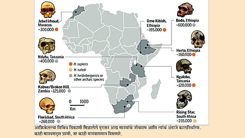 Article in Saptraga by Anand Ghaisas