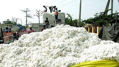 cotton is not getting proper price in market 
