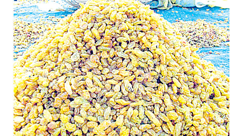 raisins