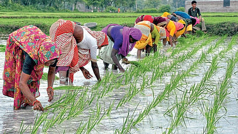 Farming