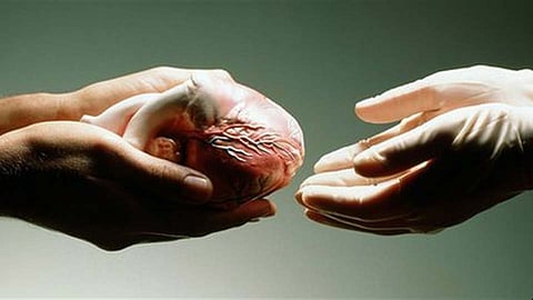 Body-Part-Donate