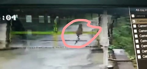 leopard jumped from the gate of a power project in Akole taluka on record in CCTV 