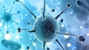 Alert in schools about Corona infection, letters of instruction gone