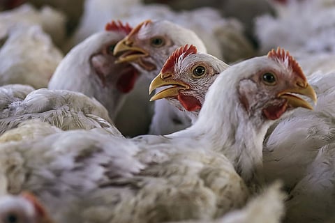 Coronavirus News