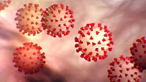 Coronavirus