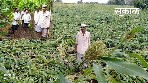 Crop Loss