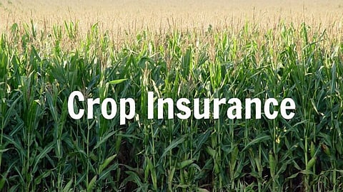 Crop-Insurance