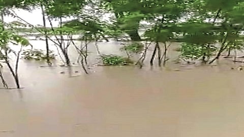 Dhagfuti Renapur News, Latur News