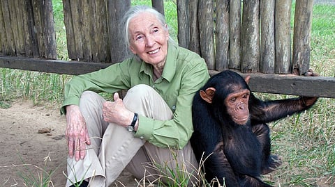 Dr-Jane-Goodall