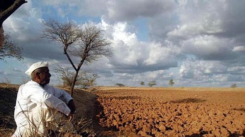दुष्काळाच्या घोषणेसाठी उच्च न्यायालयात याचिका 