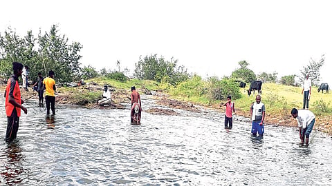 माशांचे गळ अन्‌ खाणाऱ्यांची चंगळ.!
