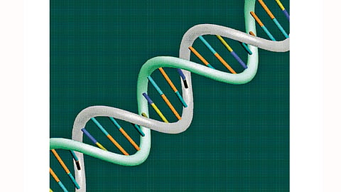 Genes