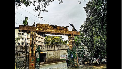 राणीच्या बागेतल्या पक्ष्यांवर आता २४ तास असेल करडी नजर