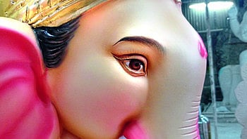 Special skill to bring vitality in Bappa's eyes; Read more .