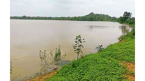 लाखांदूर तालुक्‍यातील दहिगाव माइन्स येथील तलाव.