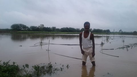 Marapur Rain.