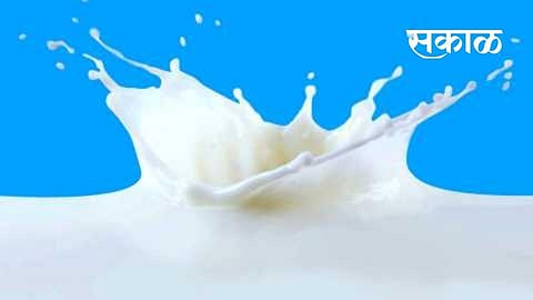 Amritsagar Co operative Milk Traders and Processing Association has increased the purchase price of milk for the fourth time in the last two months