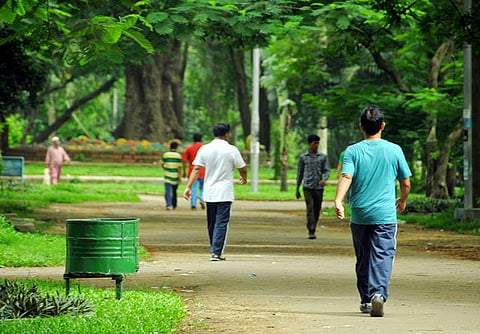Morning walk